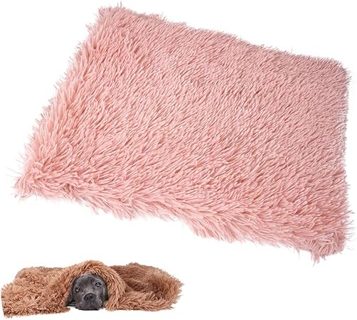 Dhqss Auto Chauffage Coussin Animaux De Compagnie Chien Chat