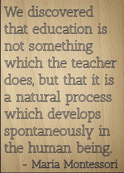 Nous Avons Decouvert Que L Education N Est Pas Citation De Maria Montessori Grave Au Laser Sur Plaque En Bois Dimensions 8 X 10 Cm Amazon Fr Cuisine Maison