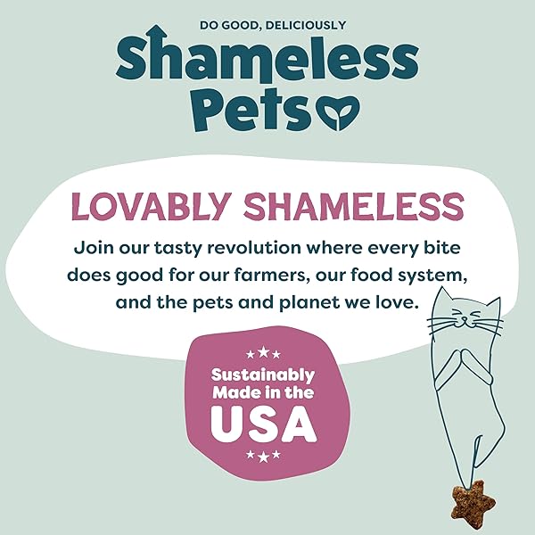 SHAMELESS PETS CRUNCHY CAT TREATS – KITTY TREATS FOR CATS WITH DIGESTIVE SUPPORT, NATURAL KITTEN TREATS WITH REAL CHICKEN, HEALTHY FLAVORED FELINE SNACKS – CRAN YOU SAY CHICKEN, 1-PK