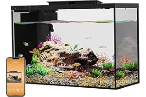 ERAARK 5 Gallon Betta Fish Tank self Cleaning, Small Fish Tank with Filter Light Water Pump, Fish Tank Starter Kits Fish Bowl (Aquarium with Landscape)