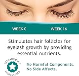 FEG Max Eyelash Serum for Lash Brow Growth Longer Darker Lashes 6mL view 4