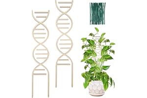 OYOEETD 16 Inch Indoor Plant Trellis For Climbing Plants,Small Garden Trellis For Potted Plants,With Moisture-Proof Layer Plant Stakes For Indoor Plants Accessories Hoya,Flower,Monster(Chromosome Trellis-2pk)