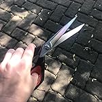 Review Image by Bananas Really