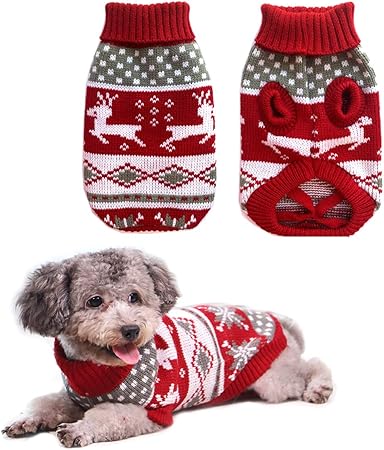 amazon dog christmas