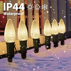 C9 Christmas String Lights Outdoor - 20 LED Pathway