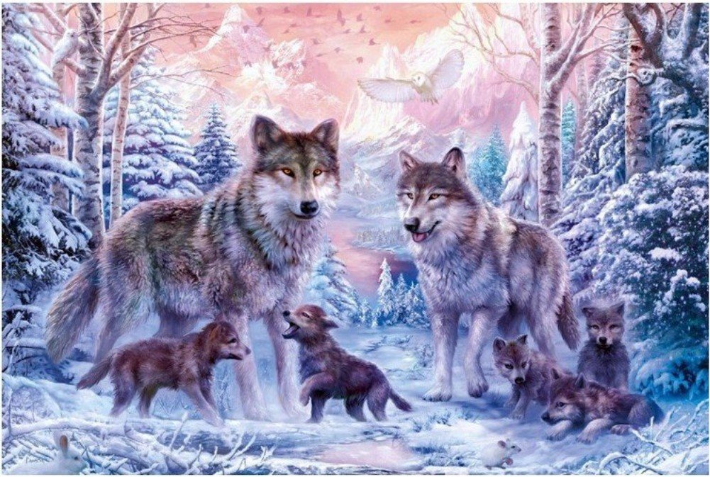 WOWDECOR Art Supplies Snow Forest Wolves Wolf Baby Owl DIY Paint by Numbers Kits 40 x 50cm with Painting Brushes Canvas (No Frame)