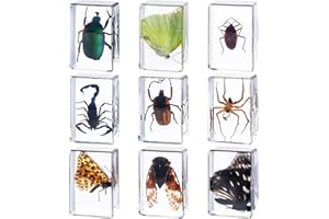Beeveer 9 Pcs Insect in Resin Specimen Bugs Collection Paperweights Arachnid Butterfly Bug Toys Educational Science Classroom Specimens Display Supplies, 9 Styles