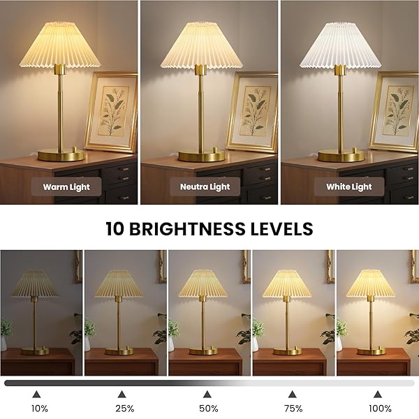 RUIYEY BEDSIDE TABLE LAMP SET OF 2: DIMMABLE NIGHTSTAND BEDSIDE LAMPS WITH USB A AND C PORTS, MODERN METAL AND PLEATED FABRIC SHADE GOLD DESK LAMP FOR HOME OFFICE BEDROOM LIVING ROOM READING