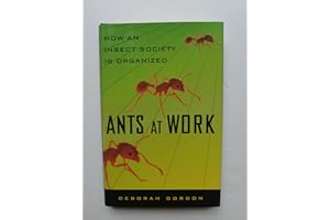Ants At Work: How An Insect Society Is Organized
