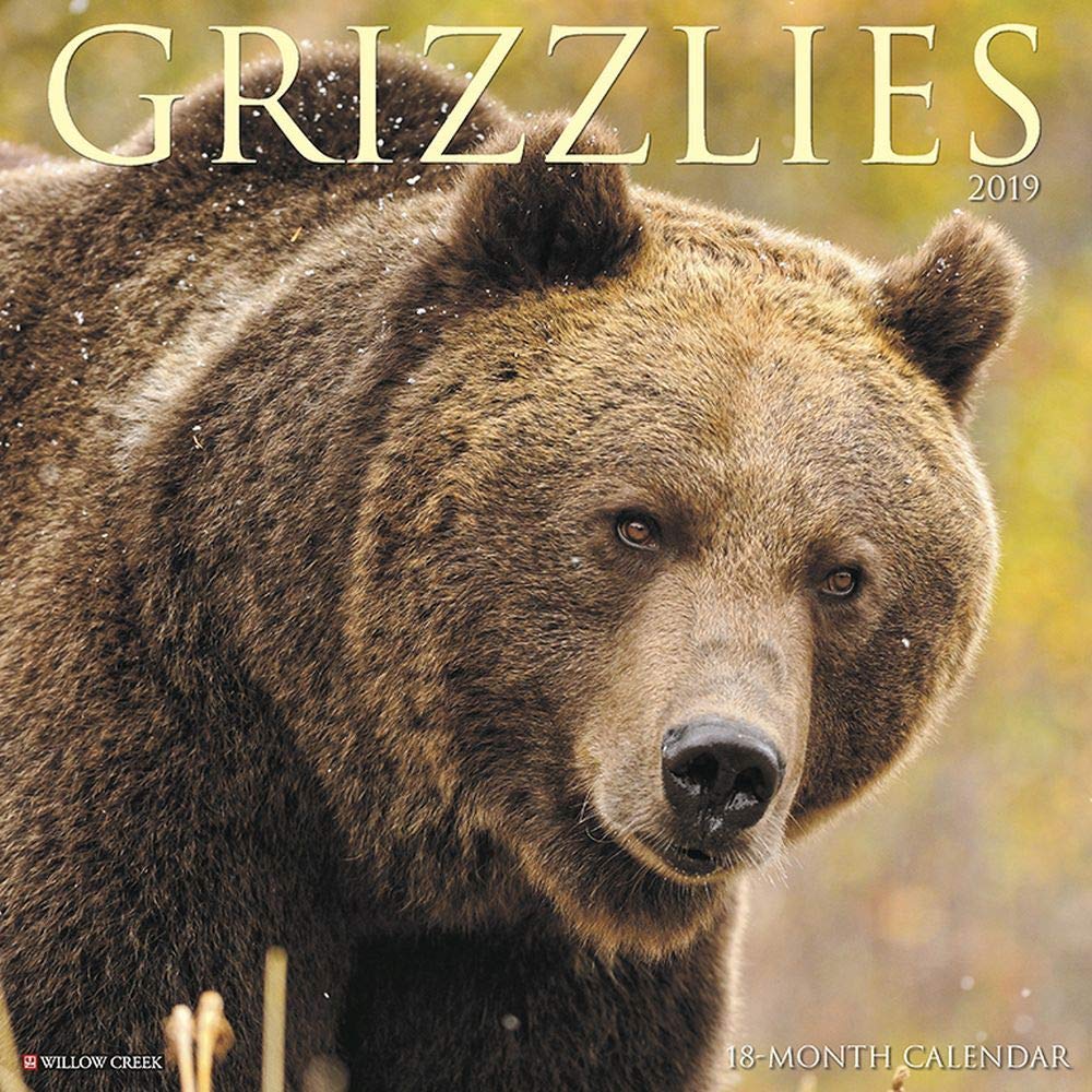 Grizzlies 2019 Calendar