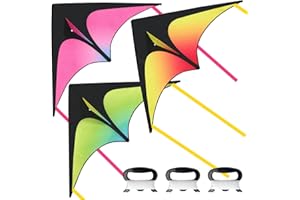 Phobby Delta Kites for Kids Ages 4-8, Easy to Fly Beach Kites for Beginners with 262 Ft Kite String, Large Kite for Outdoor Activities and Games