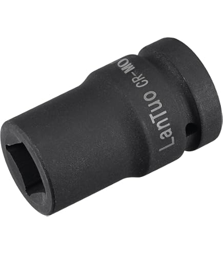 おおきづち j-41228-w.jpg