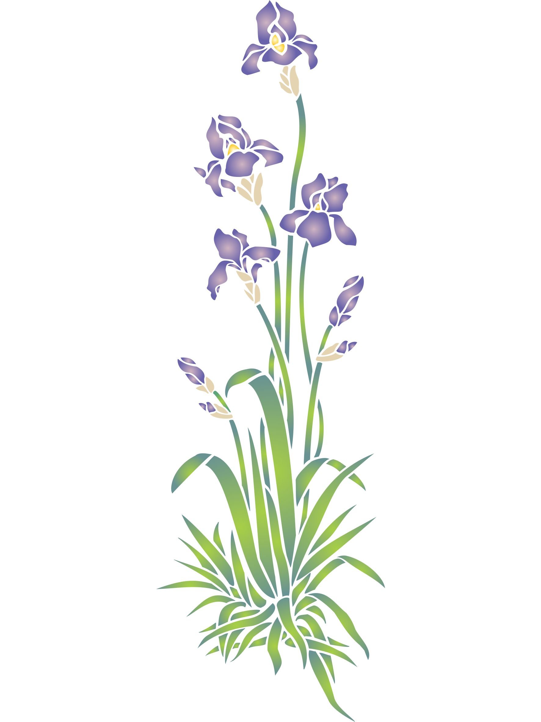 Iris Stencil - 52 x 16.5cm - Reusable Flora Wall Stencil Template
