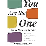 You Are the One You've Been Waiting For: Applying Internal Family Systems to Intimate Relationships
