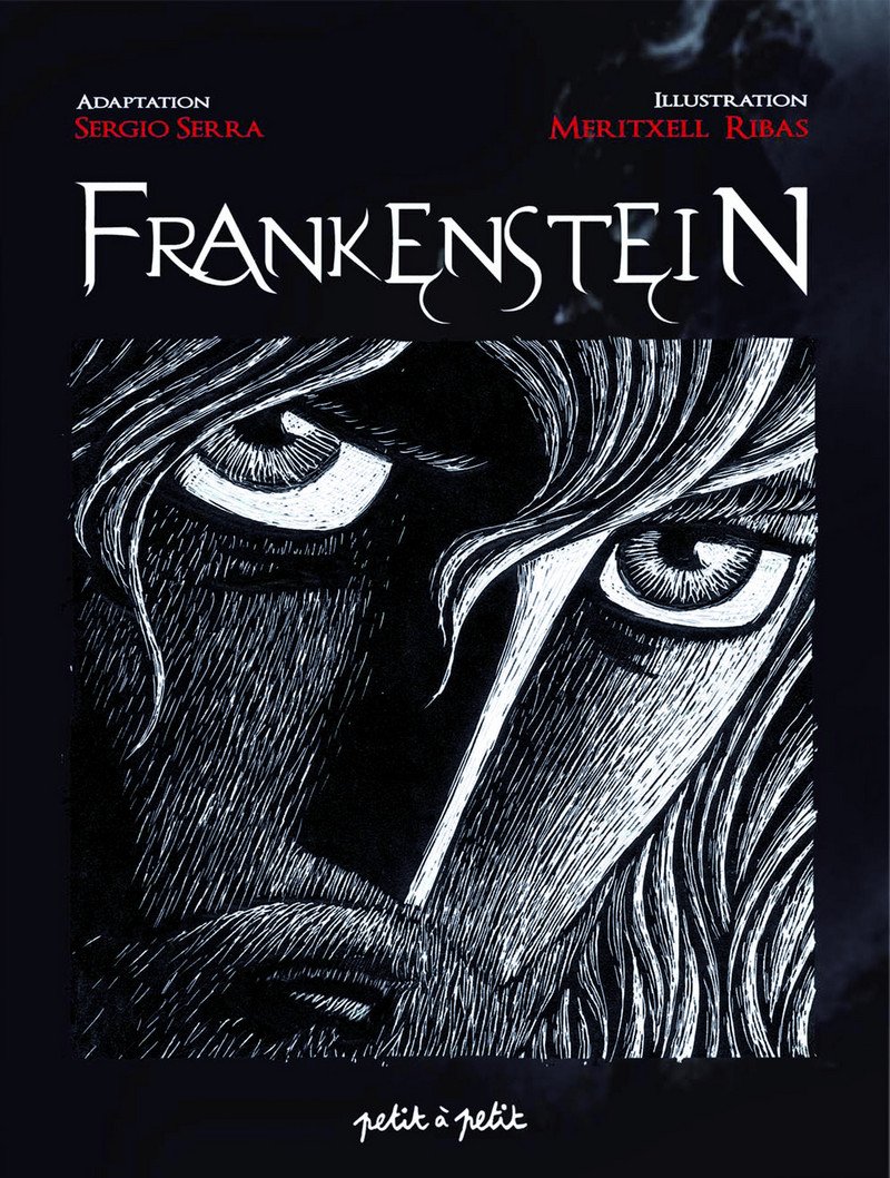 Amazon Fr Frankenstein Ou Le Promethee Moderne Sergio Sierra Mary Shelley Meritxell Ribas Puigmal Olivier Petit Livres