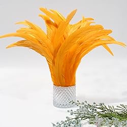 THARAHT 50PCS Rooster Coque Tail Feathers Bulk