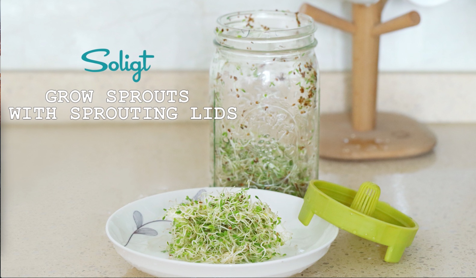 6 Soligt+Easy+Rinse+Drain+Sprouting