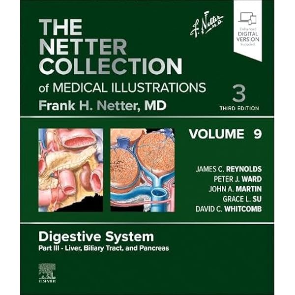 The Netter Collection of Medical Illustrations: Digestive System
