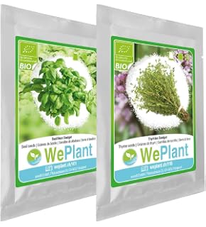 BIO/ORGANICO Albahaca & Cebollino - Semillas ecológicas de plantas ...