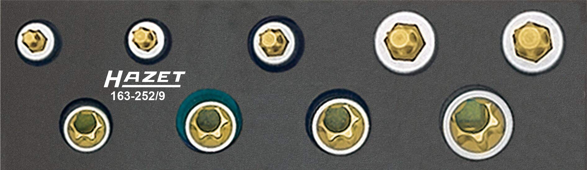 HAZET 163-252/9 Torx Profile Tool Set - CVD-Tin Coated