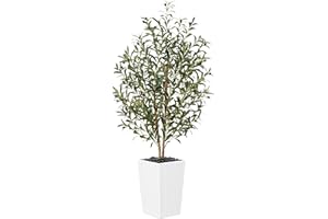 VeriNatural Artificial Olive Tree 5FT - Tall Faux Olive Trees with Natural Wood Trunk, Silk Leaves, White Taper Planter & Peb