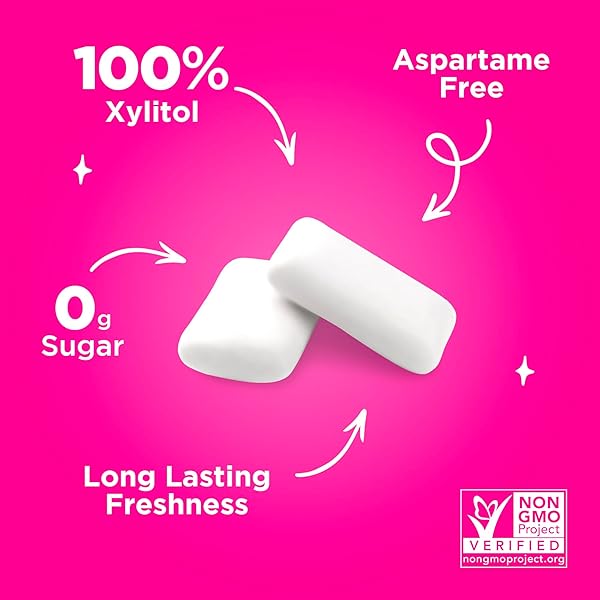 PUR GUM | ASPARTAME FREE CHEWING GUM | 100% XYLITOL | NATURAL FLAVORED GUM, VARIETY PACK, 55 PIECES (PACK OF 3)