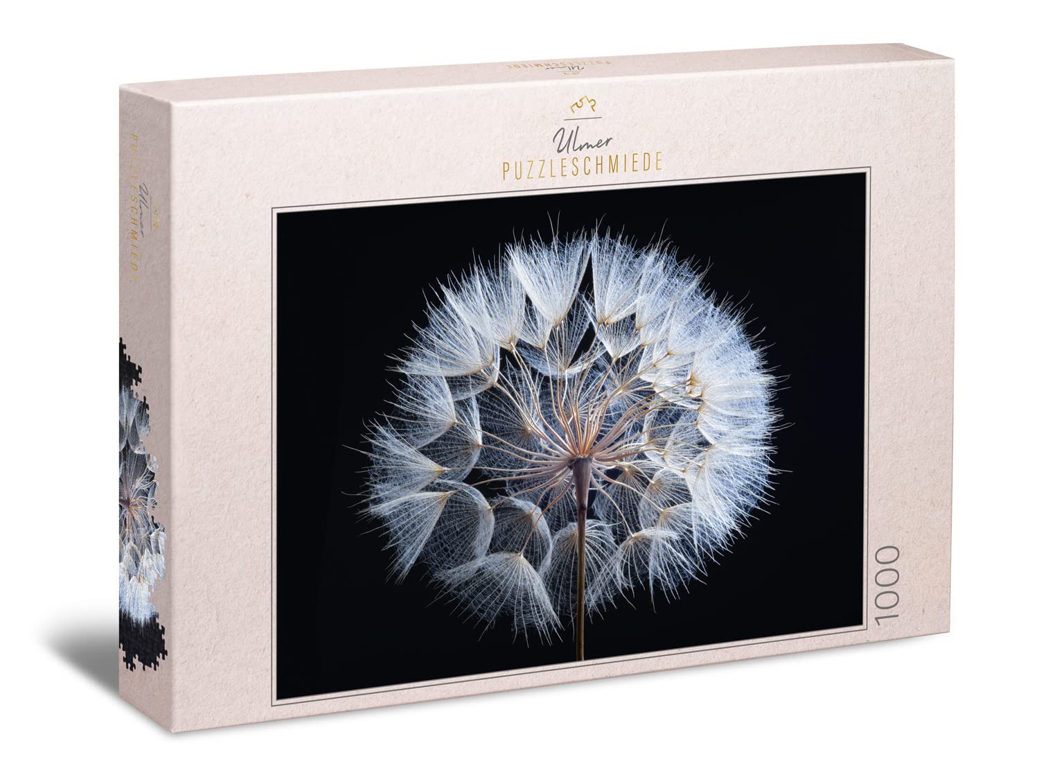 Ulmer Puzzleschmiede - Puzzle "Dandelion" - Classic 1000-piece puzzle flower - Puzzle made in Germany - Detailed capture of a hoop dandelion plant - Excellent flower macro photography