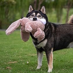 Best Pet Supplies Interactive Squeaky Dog Chew