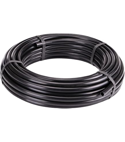 Rain Bird HT07525PSI Régulateur De Pression D'irrigation Goutte à Goutte 25 PSI, Filetage Femelle 1,9 Cm X Filetage Mâle 1,9 Cm