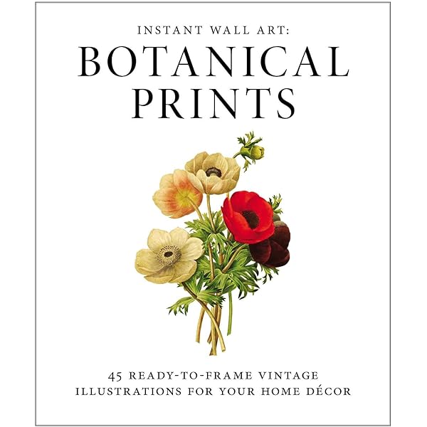 botanicalさま 1914 Vintage Botany Botanical Illustration Sizes (Floral Ephemera