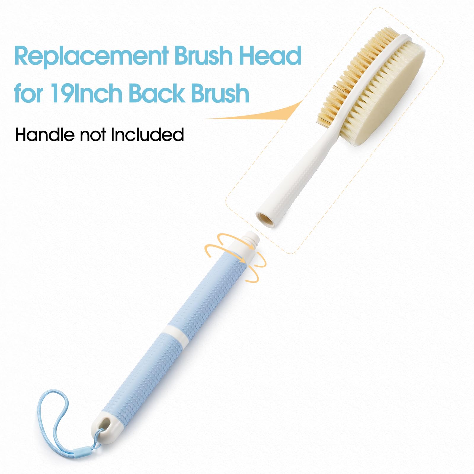 Backski Hand Held for Dry Brushing, Dry Brush for Lymphatic Drainage, Exfoliating Skin Brush with Soft and Stiff Bristles, 2-Pack Replacement Head for 19
