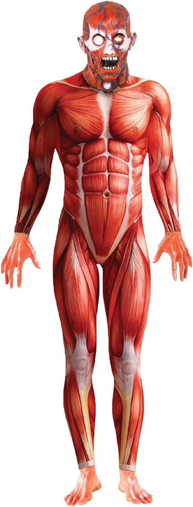 UHC Men's Anatomy Man Muscle Jumpsuit Scary Theme Party Adult Halloween Costume