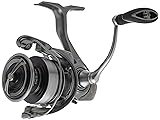 Daiwa EXCELER 1000 LT Spin Reel, 5BB + 1, 5.2 : 1