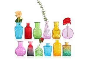 STARSIDE Set of 12 Colorful Glass Bud Vase in Bulk,Small Vintage Bud Vase for Centerpieces,Rustic Wedding Decorations,Home Table Flower Décor