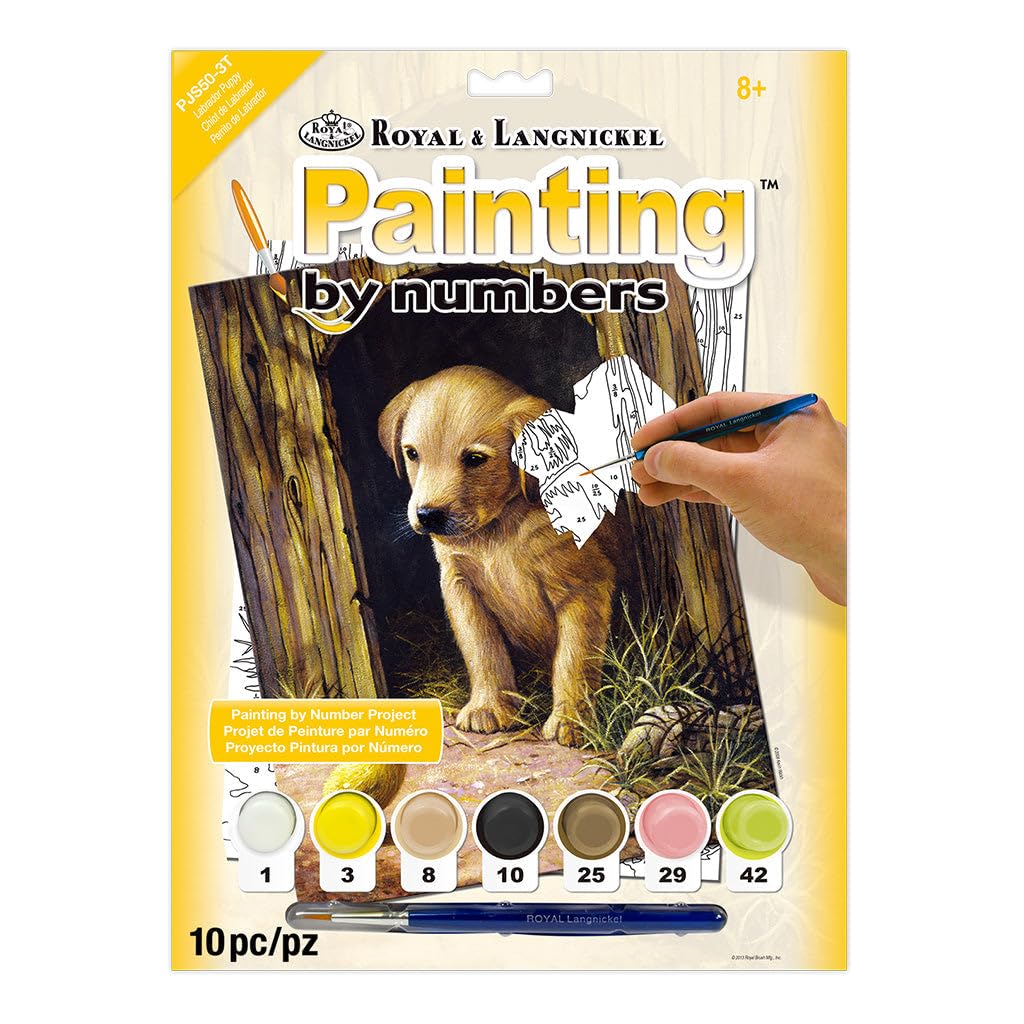 Royal & Langnickel Painting by Numbers A4 Size Labrador Puppy Designed Painting Set