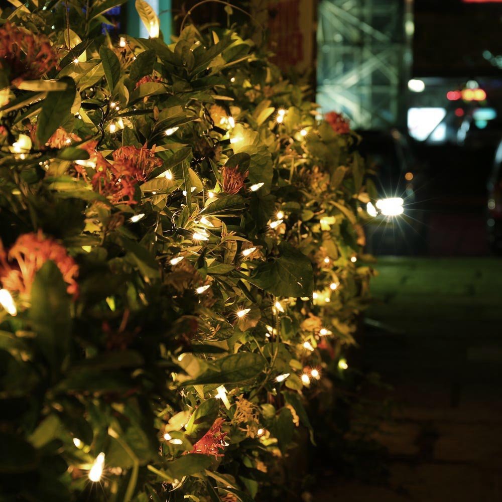 Brizled LED Christmas Lights, 100 LED 33 ft Mini String Lights, 120V UL Certified for Indoor and Outdoor Decoration, Patio and Christmas Tree, Warm White