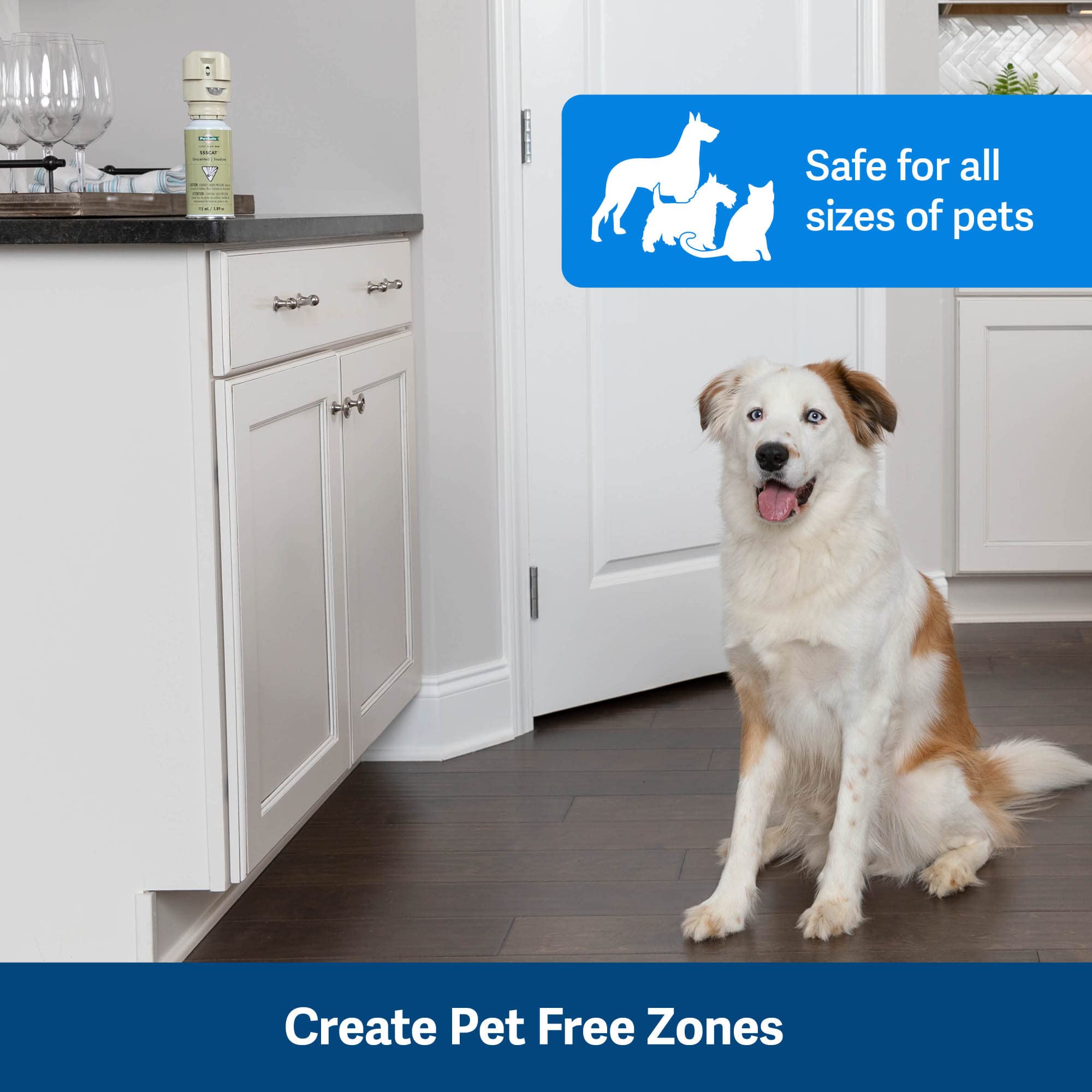 PetSafe SSSCAT Automatic Spray Pet Deterrent - Contactless Behavior Correction - Motion Sensor Air Burst - Odorless - Non-Staining - Versatile Placement Spray