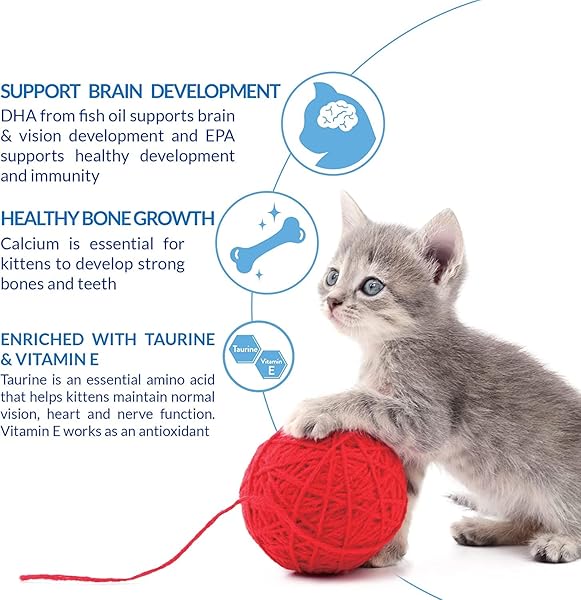INABA CHURU FOR KITTENS, GRAIN-FREE CREAMY, PURÉE LICKABLE CAT TREATS WITH DHA, EPA, VITAMIN E & TAURINE, 0.5 OUNCES EACH, 4 TUBES (1 PACK), TUNA RECIPE