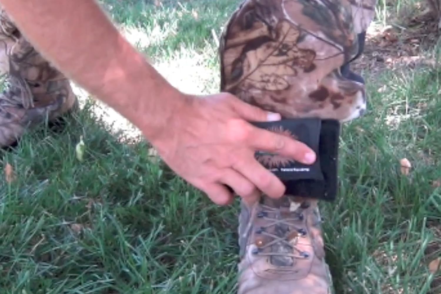 BurrPaw Multi-Purpose Sticker and Burr Remover: Sports & Outdoors