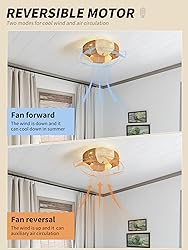 SYDACG 20 Inch Rattan Boho Ceiling Fan with Light