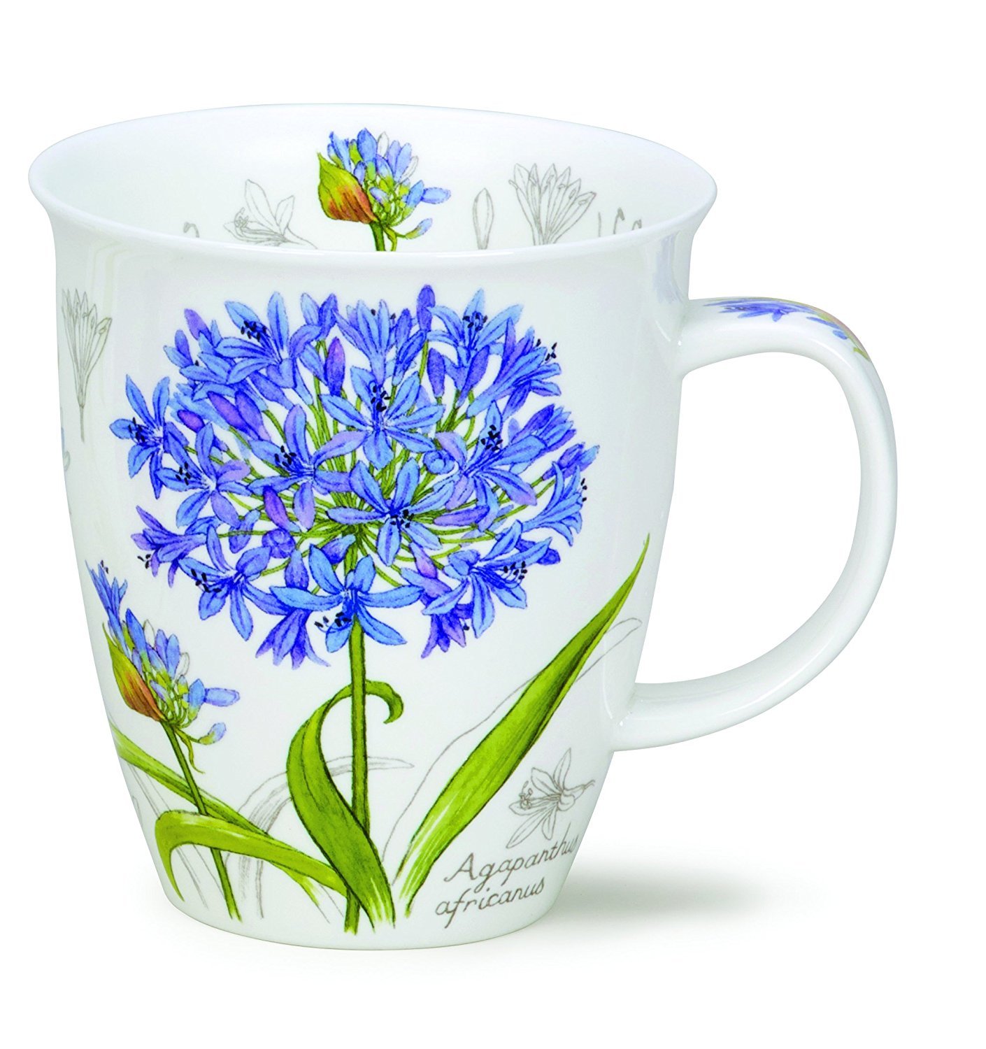 Dunoon Bone China Botanical Sketch Mug (Agapanthus)