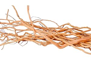 Azil Natural Aquarium Driftwood Root – Driftwood for Aquarium Decor, 200g (14″–16″), Fish Tanks, Terrariums, Aquascaping & Planted Tanks