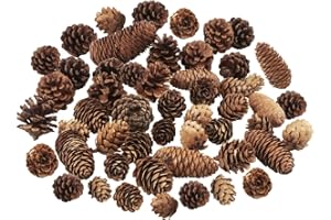 JANGOSTOR 40 PCS Rustic Pine Cone Decorations - Large, Medium and Mini Sizes for Table, Tree and Home Decor