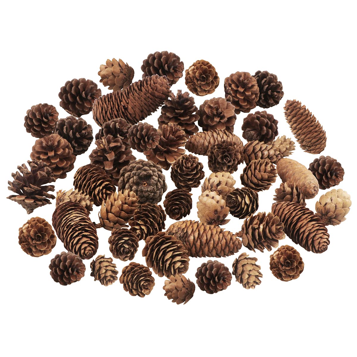 Photo 1 of 40 PCS Rustic Pine Cone Decorations - Large, Medium and Mini Sizes for Table, Tree and Home Decor
