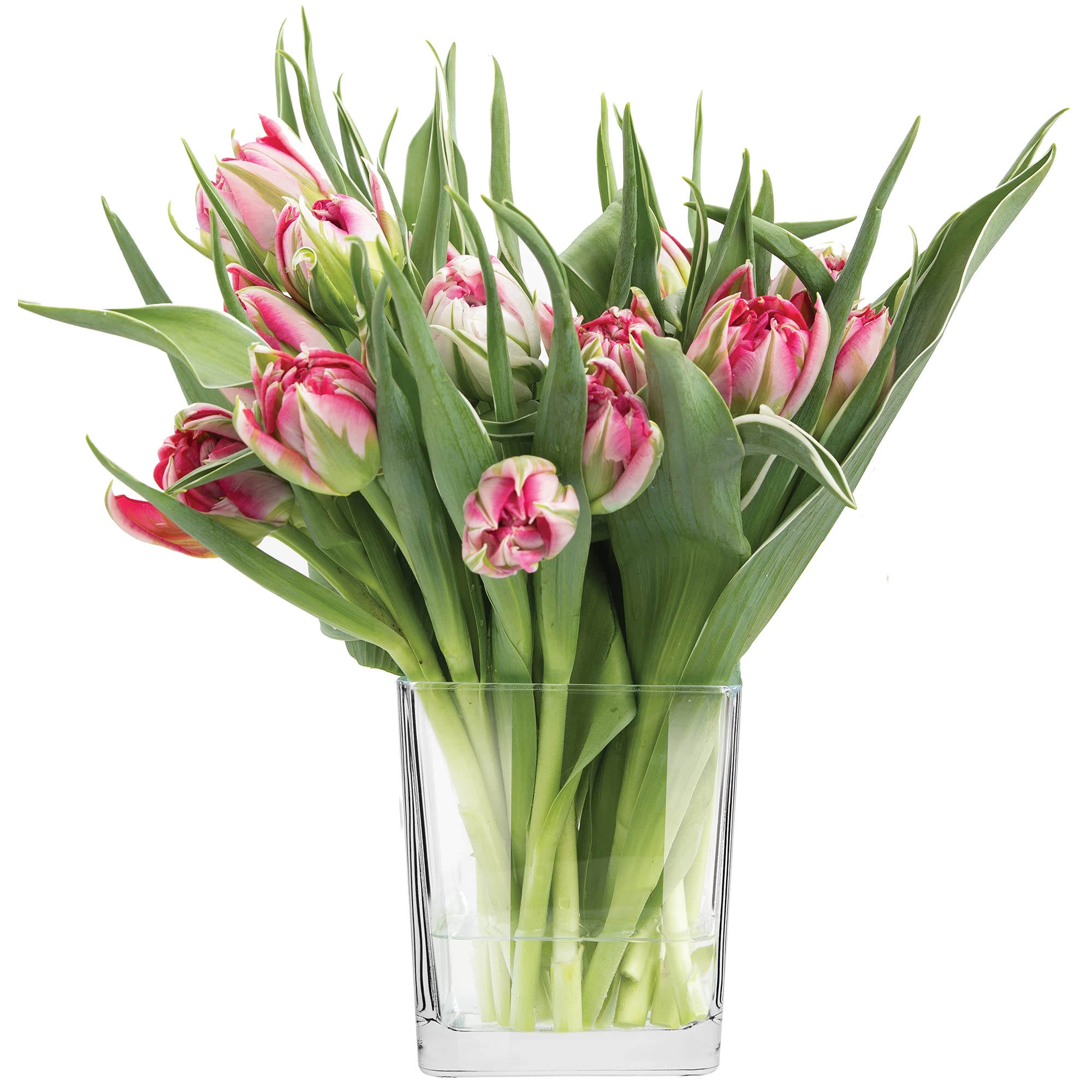 Glass Decorative Container Indoor Decor Table Bouquet Vase DIY Forest in Glass Decorative Plant Terrarium Home Garden Container for Flowers Transparent, Dishwasher Safe, Collection Violet, 820 ml