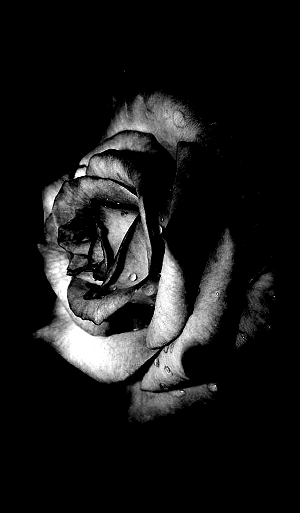 Black Flower for Android