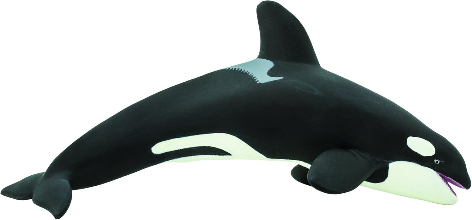 safari ltd killer whale
