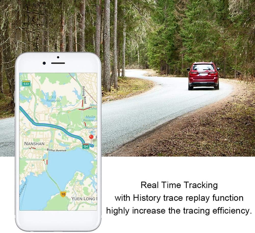 Starter Pour Animal Domestique Collier De Fixation