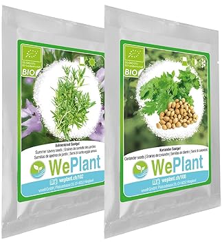 BIO Bohnenkraut & Koriander Pflanzen-Samen Set - indoor/outdoor