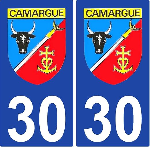 2 Autocollants Croix Camarguaise Pour Plaque D'immatriculation - Dimensions Officielles 9,8x4,5 Cm - 11